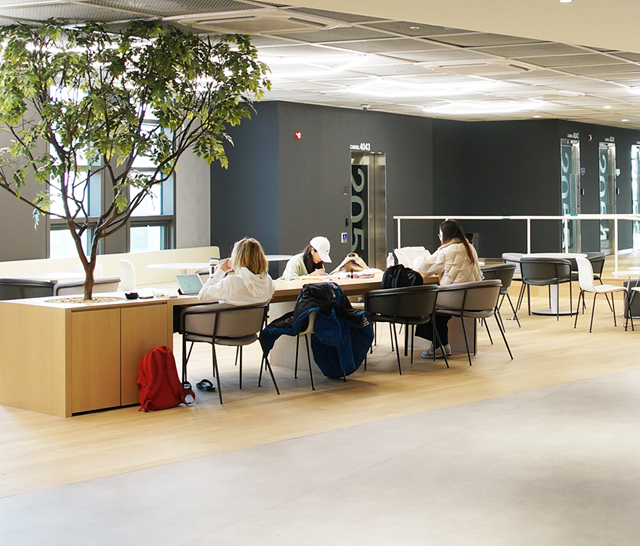 <strong>고려대학교 캠퍼스</strong><br />이용안내