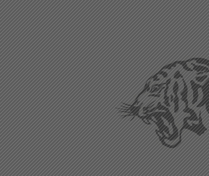 CUK 발전기금</br><strong>DREAM</strong>