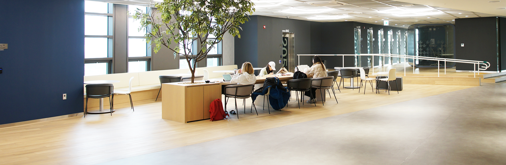 <strong>고려대학교 캠퍼스</strong><br />이용안내